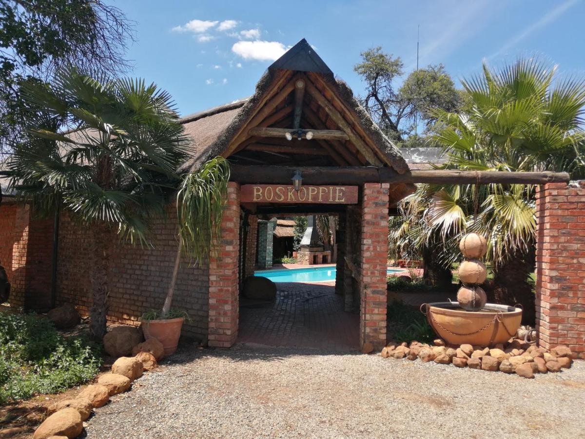 Boskoppie Lion & Tiger Reserve Kroonstad Exteriér fotografie