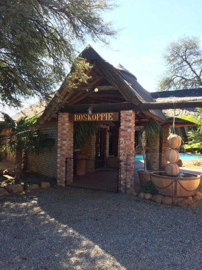 Boskoppie Lion & Tiger Reserve Kroonstad Exteriér fotografie